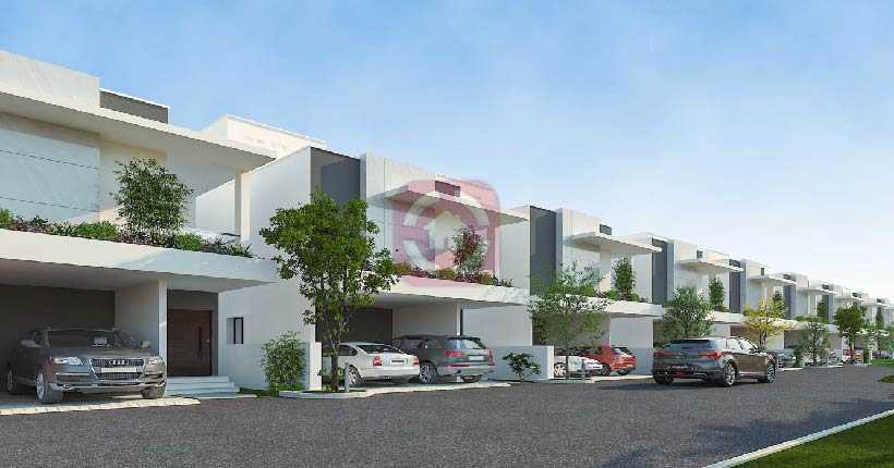 Konig Orange County Cover Page